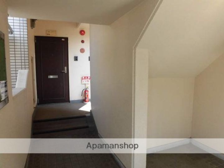 シェモアのその他画像