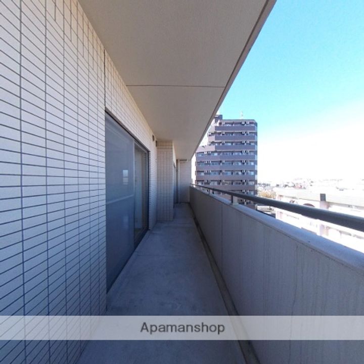 ホワイトホフマンのその他画像