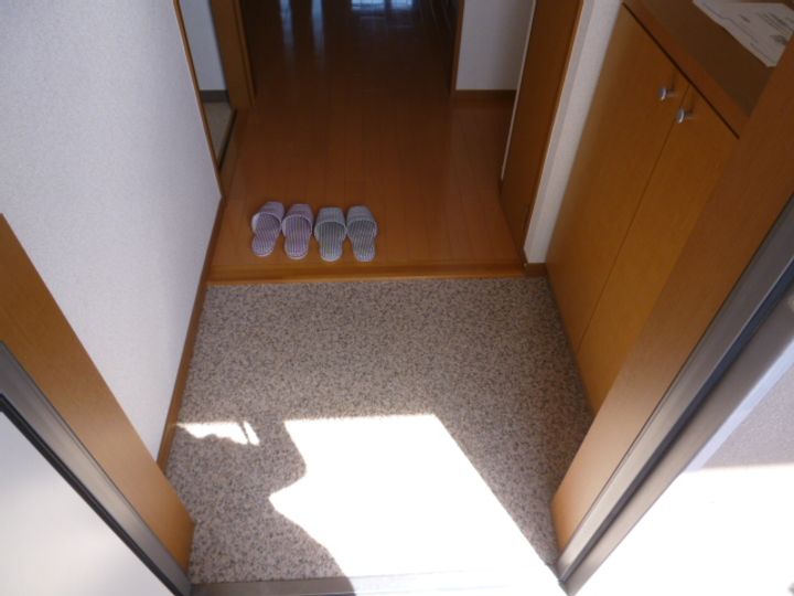 ピュアライフ302の玄関