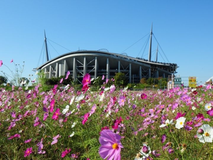 ピュアライフ302の周辺