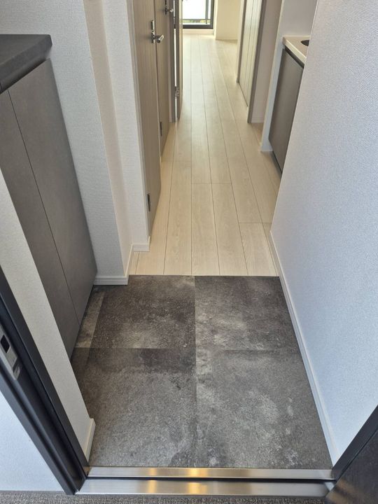 SーRESIDENCE豊田AVANTA(アヴァンタ)の玄関