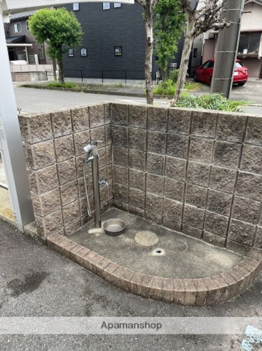 チェルシーのその他画像