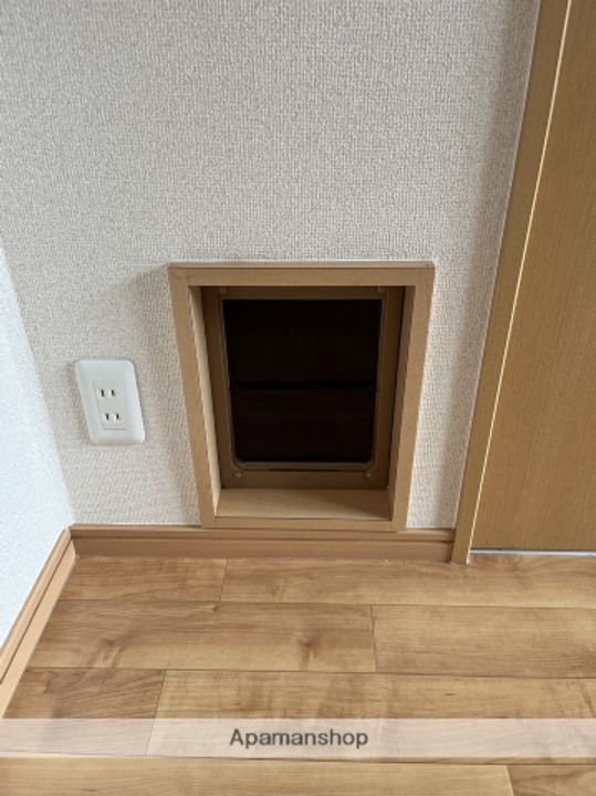 チェルシーのその他画像