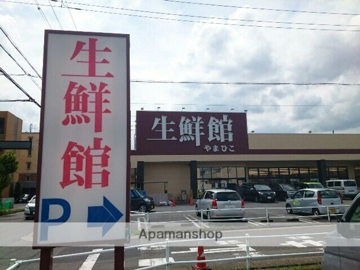 マルクソレイユの周辺