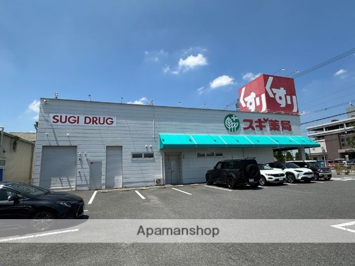 グラシャスベル広幡203の周辺