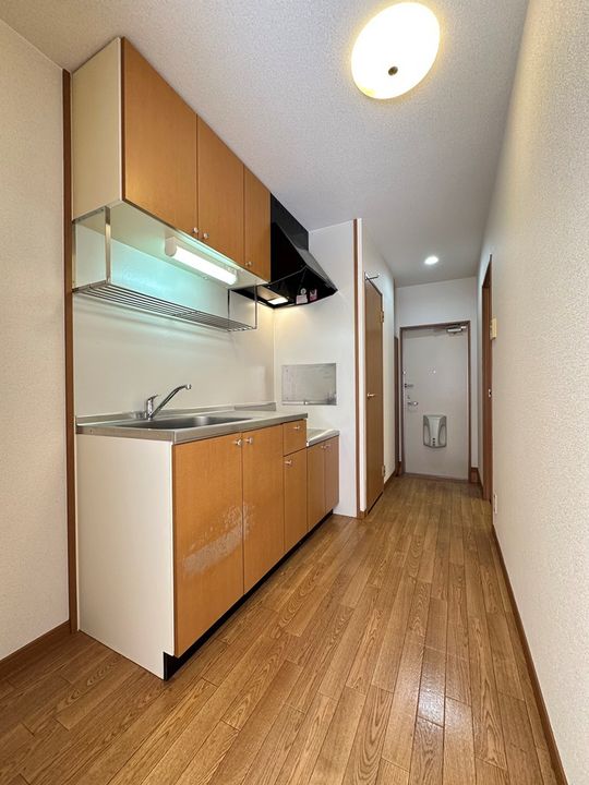 愛知県岡崎市国正町字西浦の賃貸アパートのキッチン