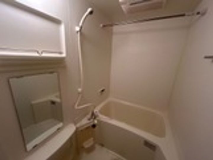 サンタガーデン202の風呂