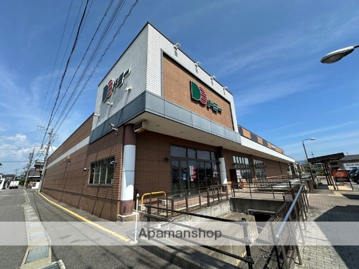 愛知県岡崎市坂左右町字堤上(一戸建)の賃貸物件戸建ての周辺