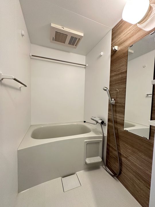 SーRESIDENCE岡崎公園AUREATEの風呂