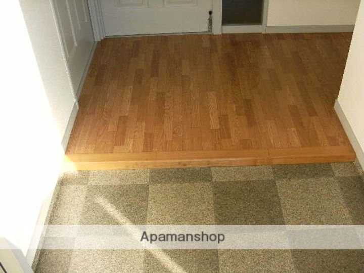 愛知県一宮市水落町の賃貸マンションの玄関