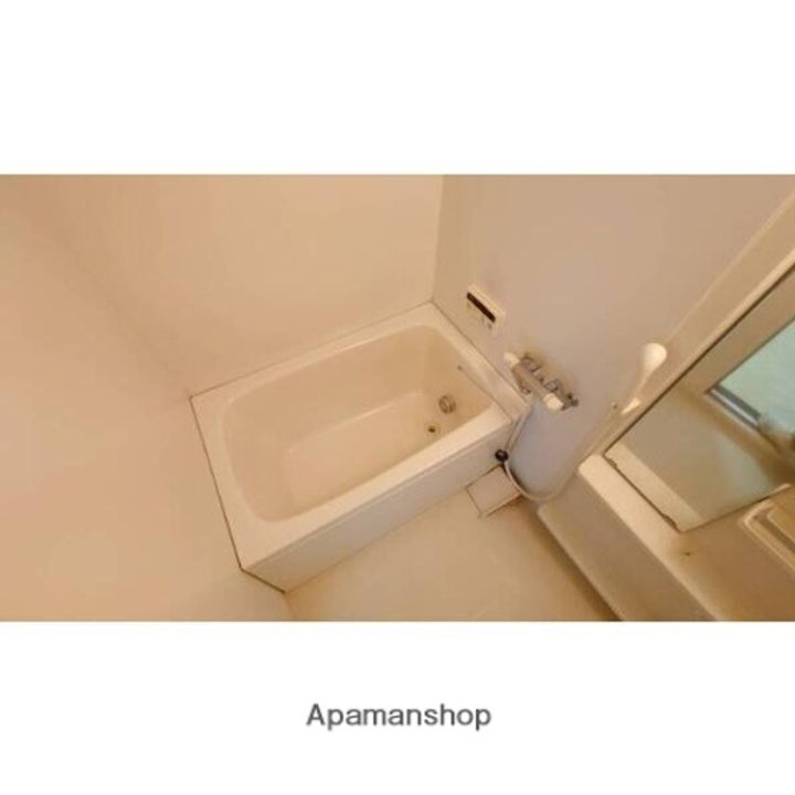 愛知県一宮市大和町妙興寺字坊ケ池の賃貸マンションの風呂