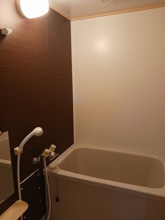 グリーンハイツ昭和の風呂