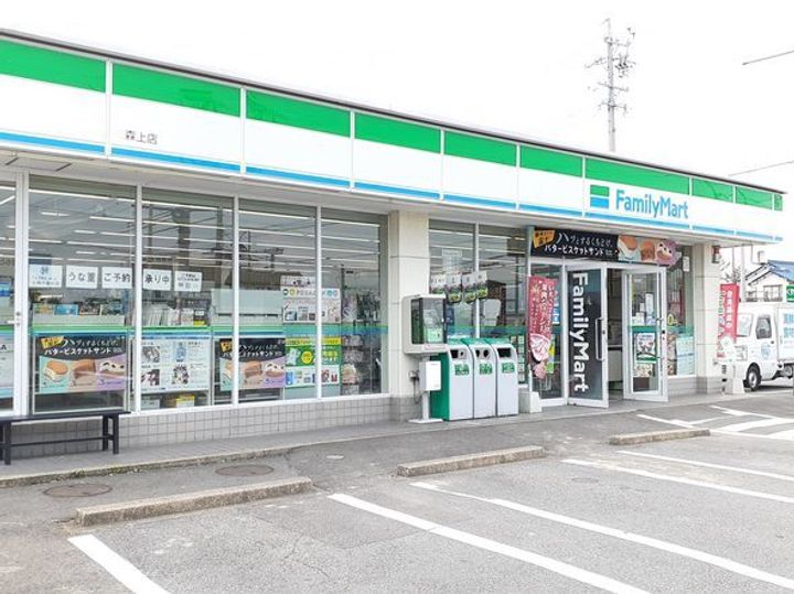 サニーサイドハイツCの周辺