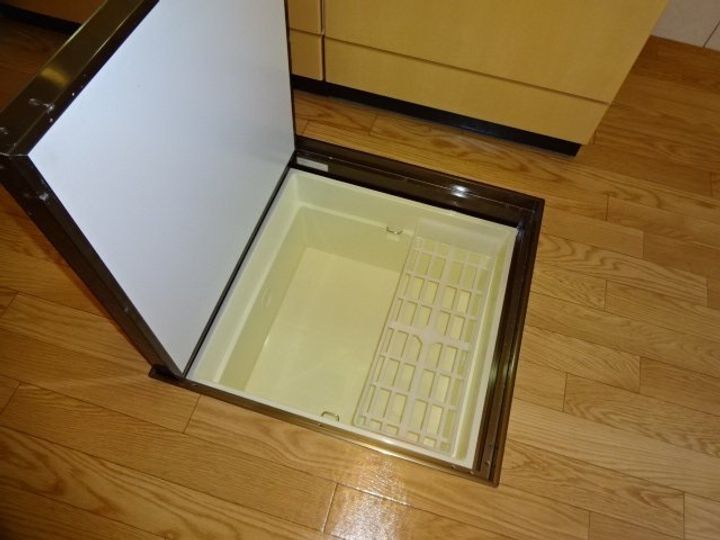 アイリスのその他画像