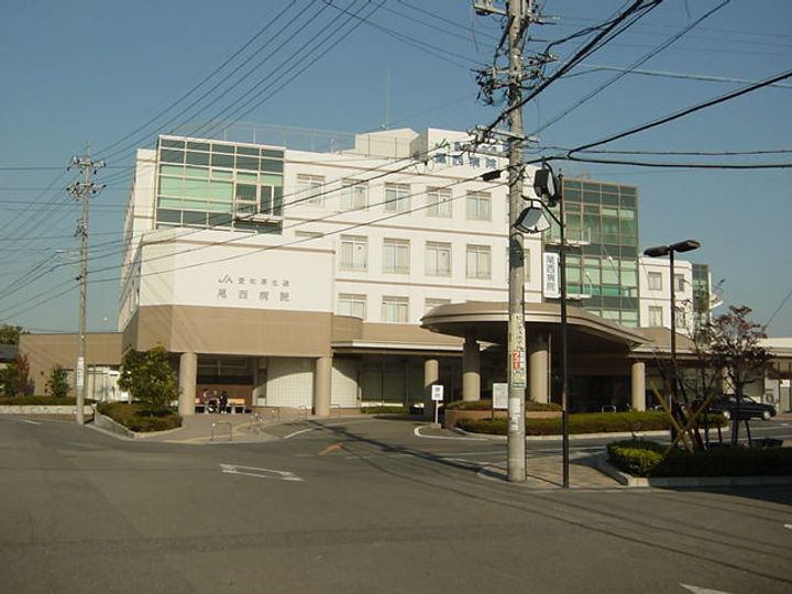 アイリスの周辺