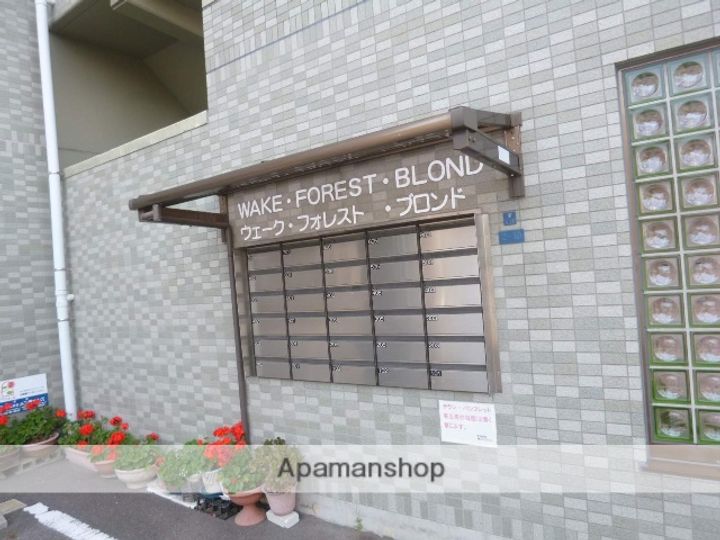 愛知県一宮市栄1丁目の賃貸マンションのその他画像
