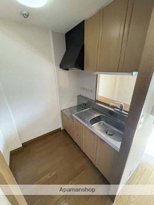 愛知県名古屋市北区楠4丁目の賃貸マンションのキッチン