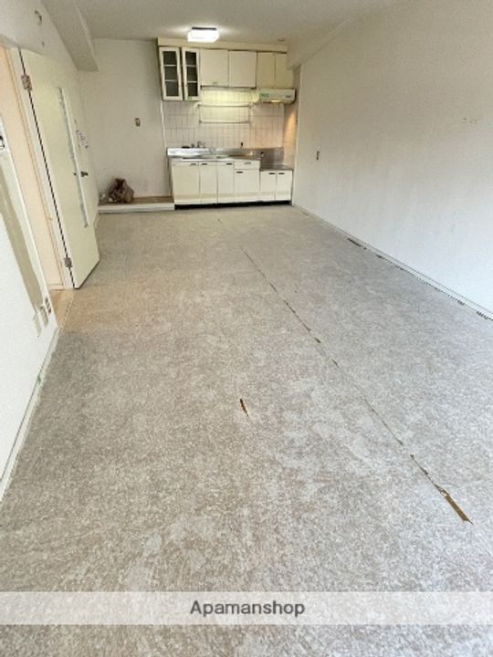 愛知県名古屋市北区上飯田南町5丁目の賃貸マンションの居間