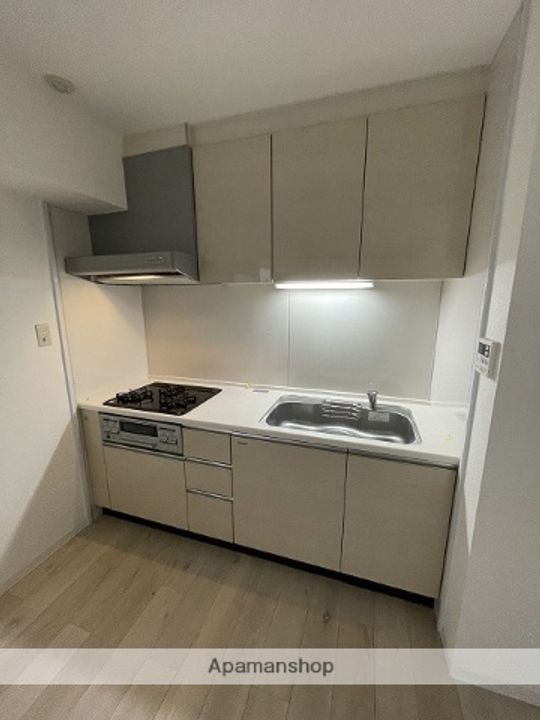 愛知県名古屋市北区上飯田南町5丁目の賃貸マンションのキッチン