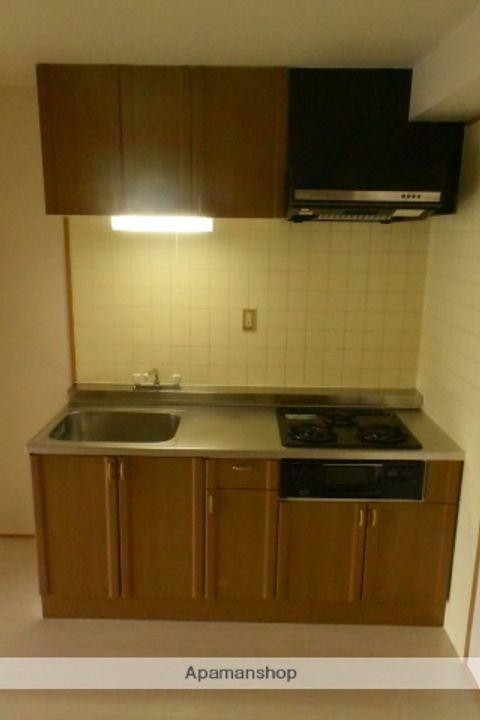 愛知県名古屋市北区駒止町1丁目の賃貸マンションのキッチン