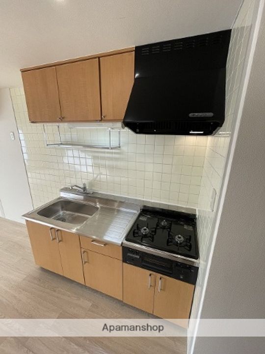 愛知県名古屋市北区平安1丁目の賃貸マンションのキッチン