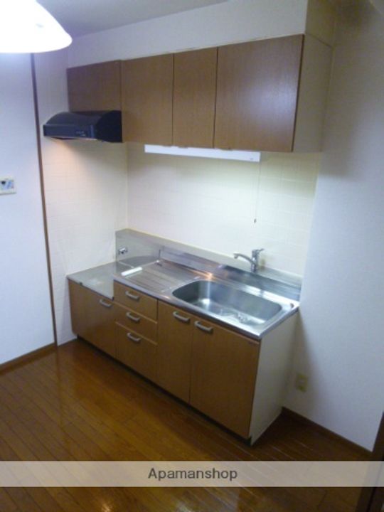 愛知県名古屋市北区八龍町1丁目の賃貸マンションのキッチン