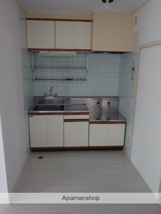 愛知県名古屋市北区下飯田町4丁目の賃貸マンションのキッチン
