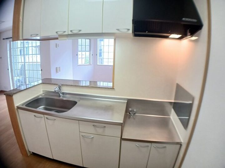 インズ苗田2のキッチン