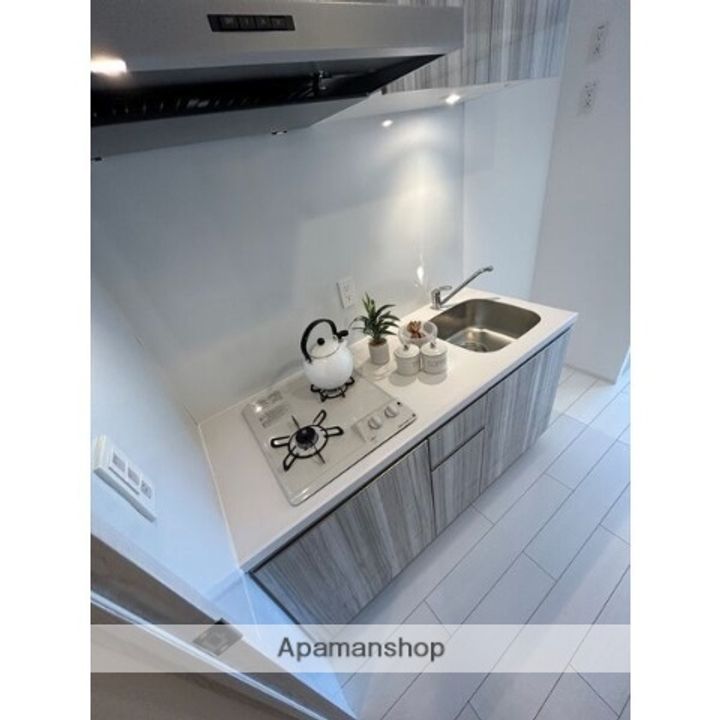 愛知県名古屋市北区志賀町4丁目の賃貸マンションのキッチン