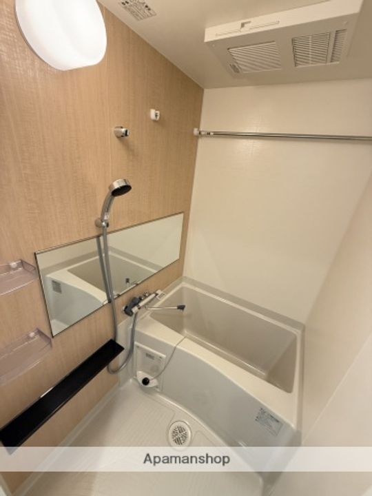 プレサンス太閤通駅前デュプルの風呂