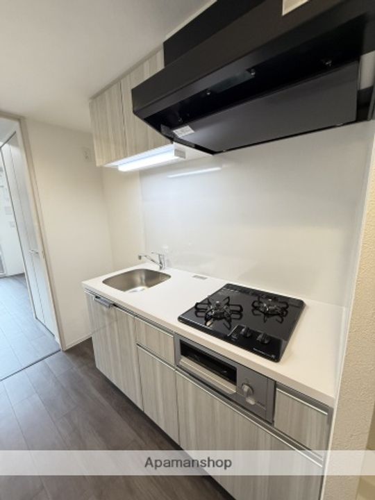 プレサンス太閤通駅前デュプルのキッチン