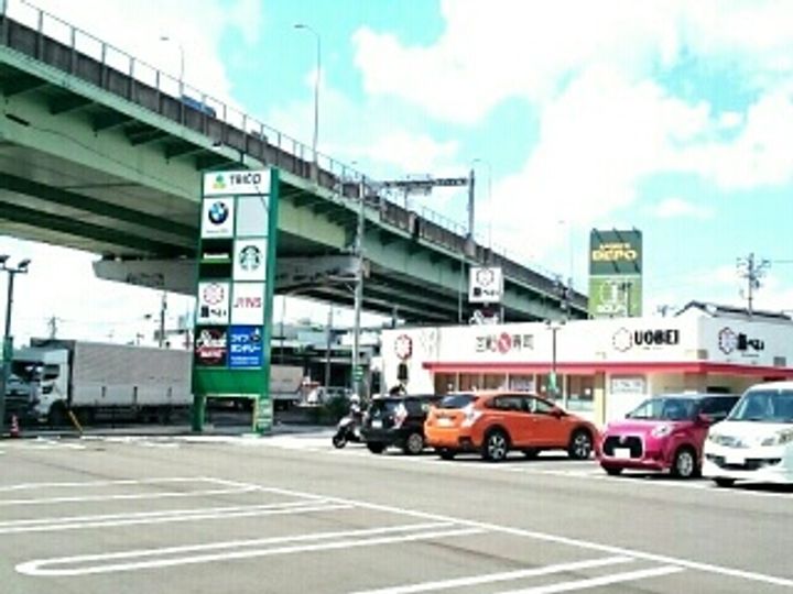 ウィステリアサカキの周辺