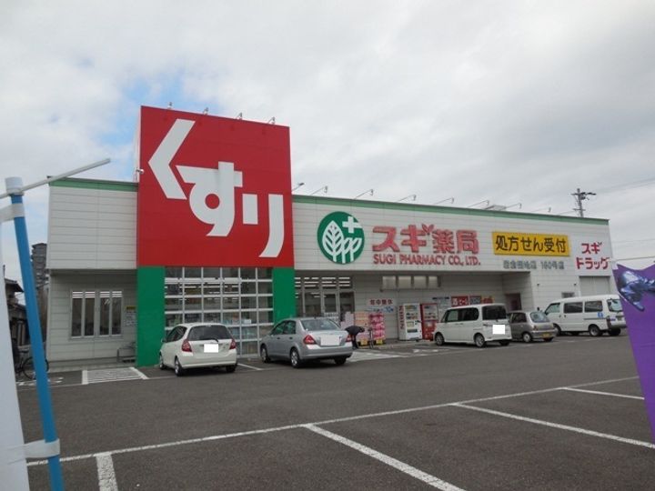 ウィステリアサカキの周辺