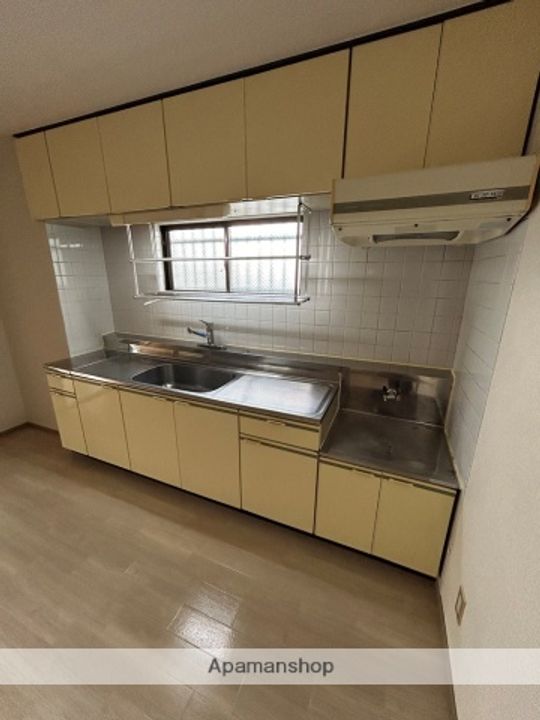 愛知県名古屋市天白区池見1丁目の賃貸マンションのキッチン