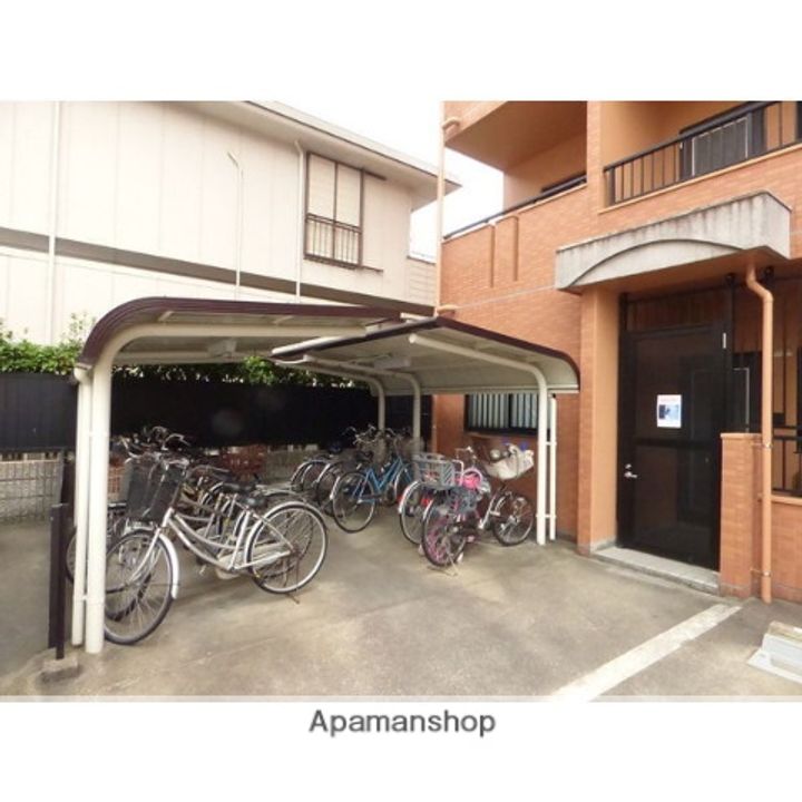 ピュア中平のその他画像