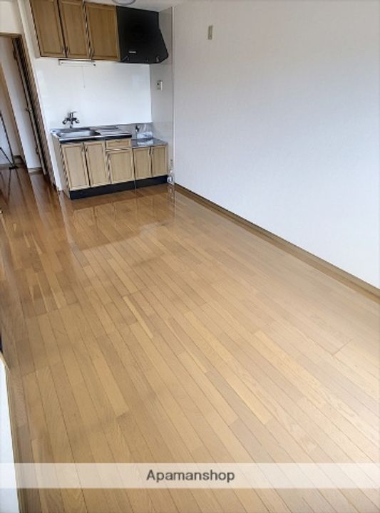 ベルドミールC・D棟D203の内装