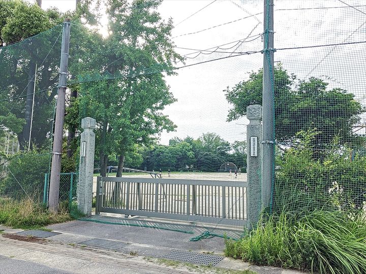 シンシアの周辺