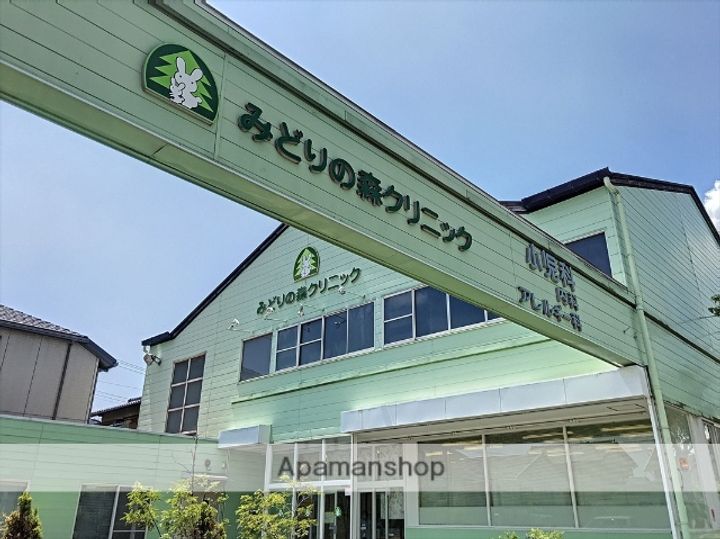 大峯ハイツ A・BA202の周辺