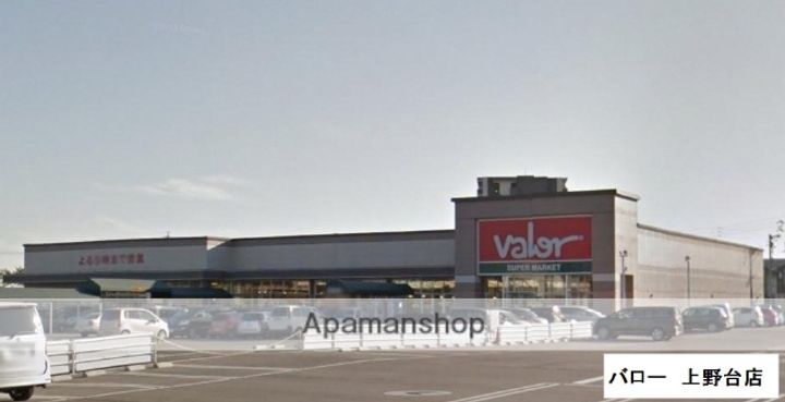 ロイヤルキャビン21208の周辺