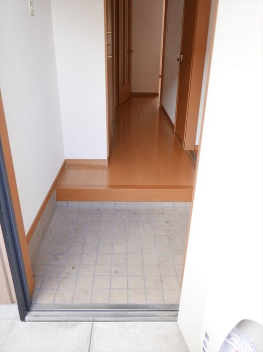 ルミナス緒川205の玄関