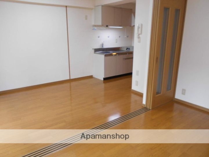 愛知県犬山市大字犬山字富士見町の賃貸マンションの内装