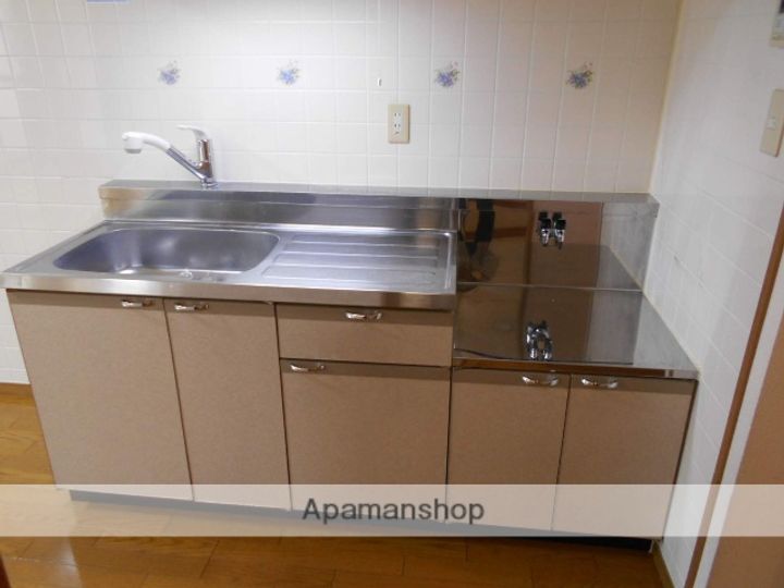愛知県犬山市大字犬山字富士見町の賃貸マンションのキッチン