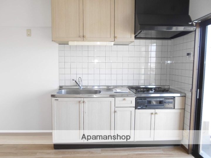 愛知県犬山市大字五郎丸字前畑の賃貸マンション302のキッチン