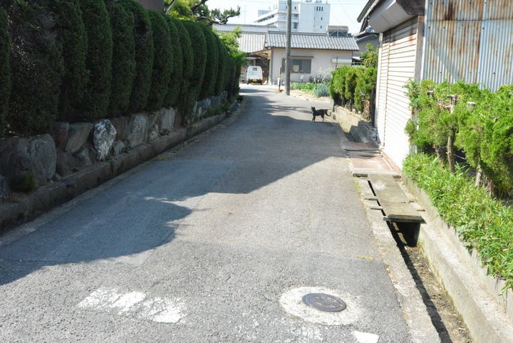 コーポ小松生201の周辺