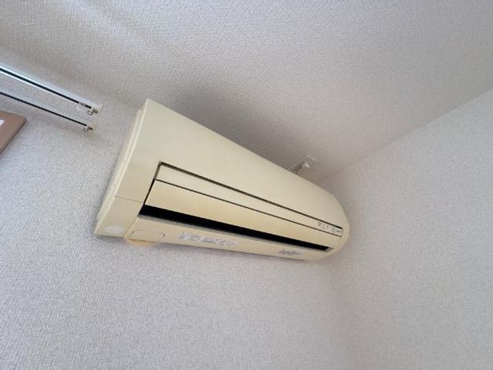 チェリーツリーのその他画像