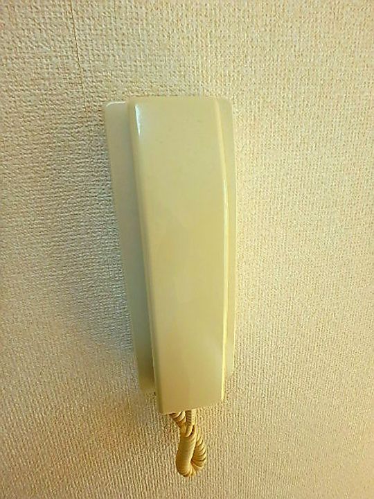 びいⅣ植田のその他画像