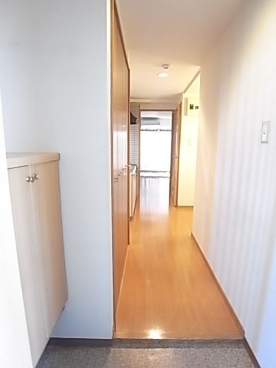 コーポラスヤスイの玄関