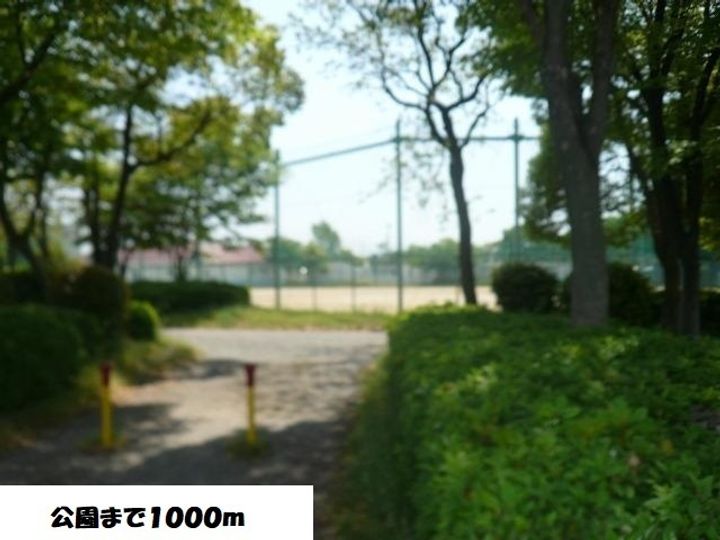 プラシードYの周辺