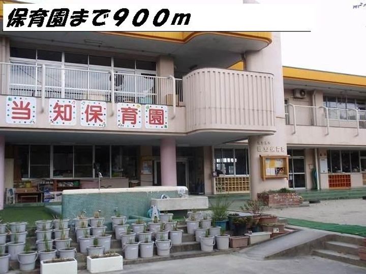プラシードYの周辺