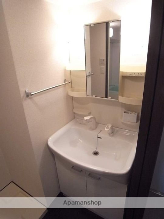 カルティエアラタマのその他画像